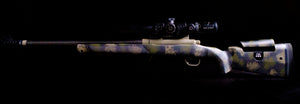 PSE Evolution (Howa 1500)